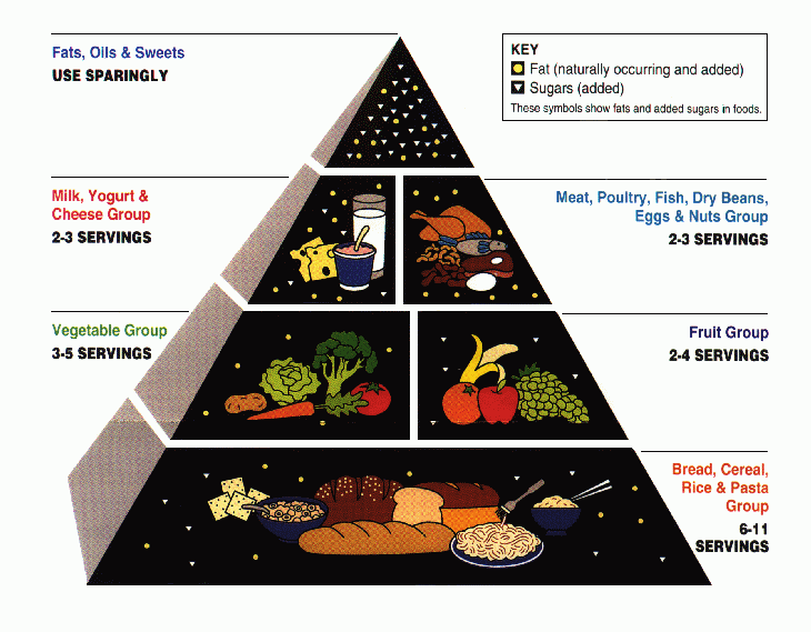 Food Pyramid in the Mediterranean Diet